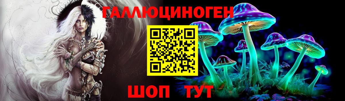 Ачхой-Мартан  Псилоцибиновые грибы ЛСД  Вход с VPN 